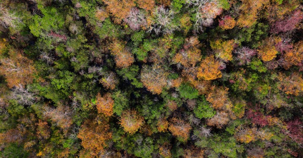 Top Affordable Power Supply Options for DIY Projects