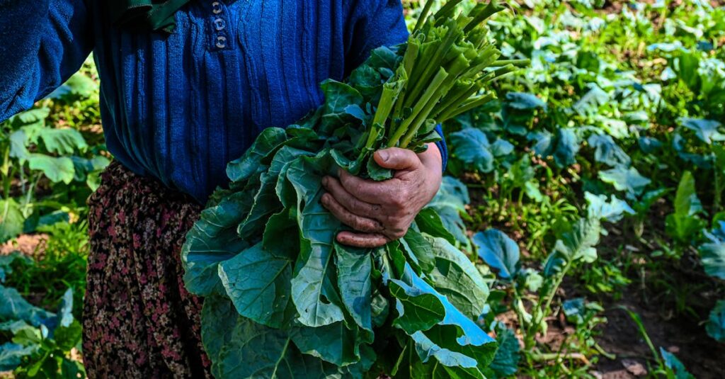 AI Powered Advisory: Why Reducing Client Friction Is the Future of Small Business Finance