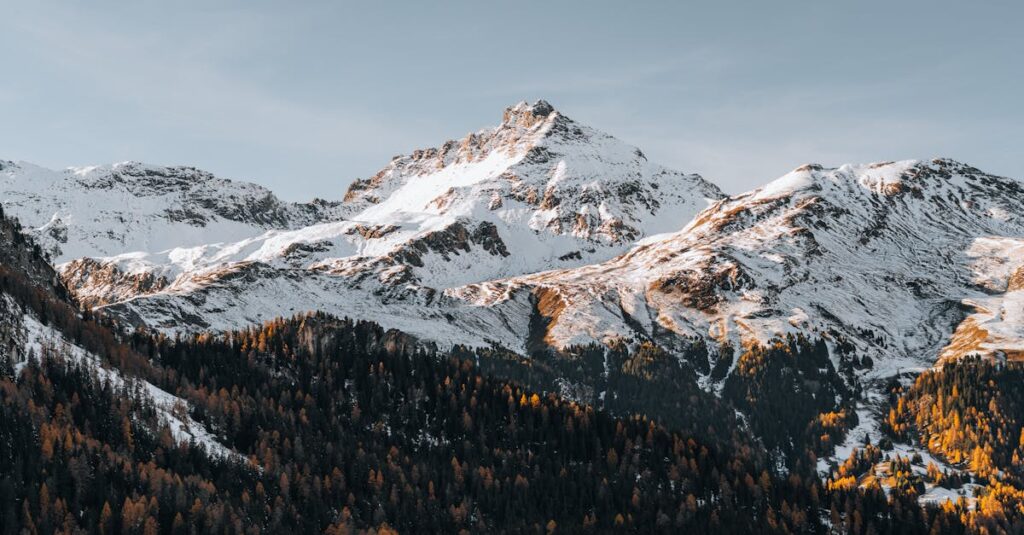 Why Winter Is the Most Strategic Season to Plan a Major Home Renovation